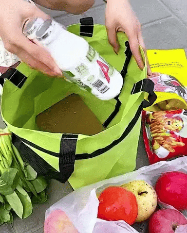 Bolso Plegable Con Ruedas