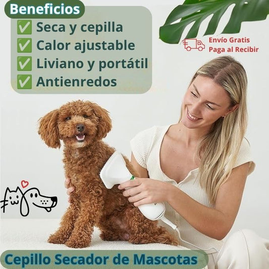 Cepillo Secador de Mascotas